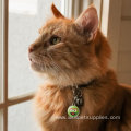 Grouch Face Chrome Plated Metal Pet ID Tag